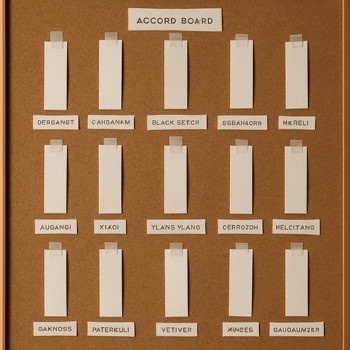 Cork board covered with taped scent strips and small handwritten labels